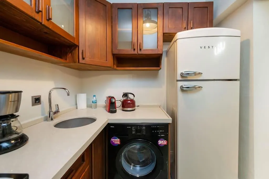 Maison Chic - Newly Renovated 3Br In City Center Istanbul Apartment