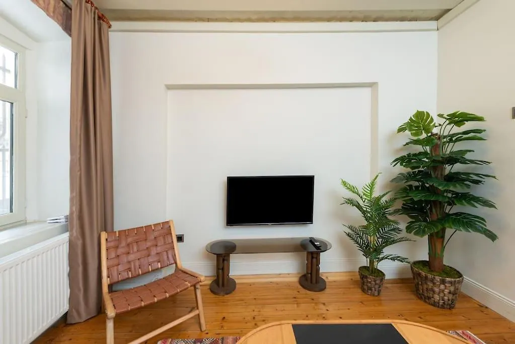 Maison Chic - Newly Renovated 3Br In City Center Istanbul